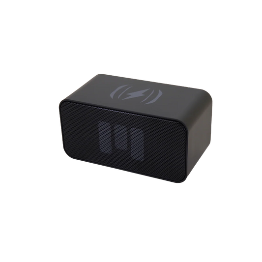 CHARGE&PLAY MINI II